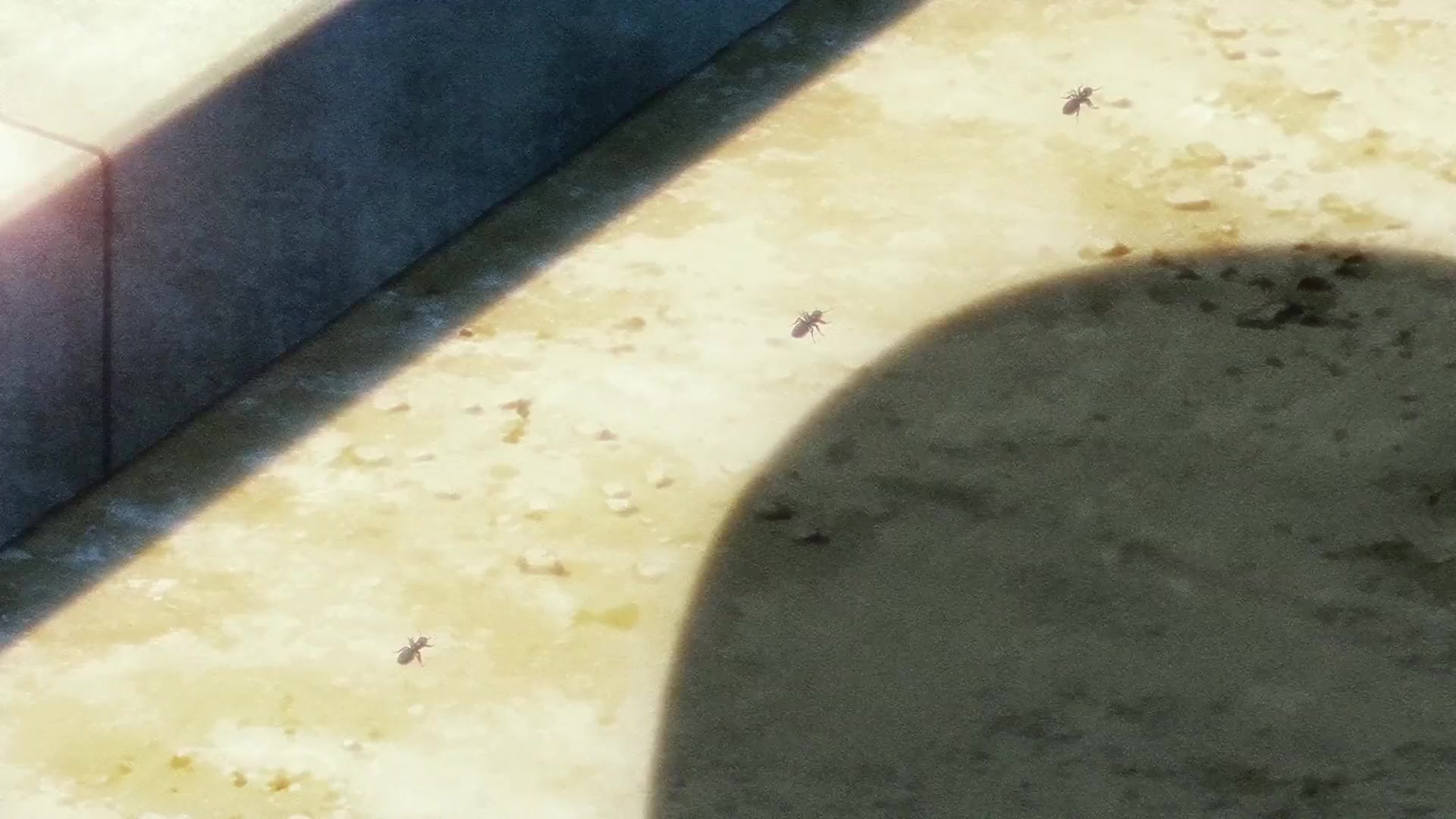 [Tsukyio Editing Resources] Oshi No Ko Season 1 (Episode 4) Raw Clips (21) (tsukyio.com).mp4